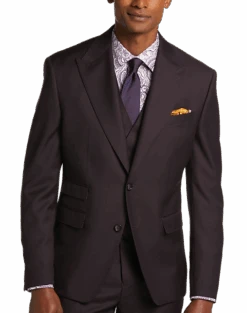 Tayion Classic Fit Suit Separates Coat, Wine Plum